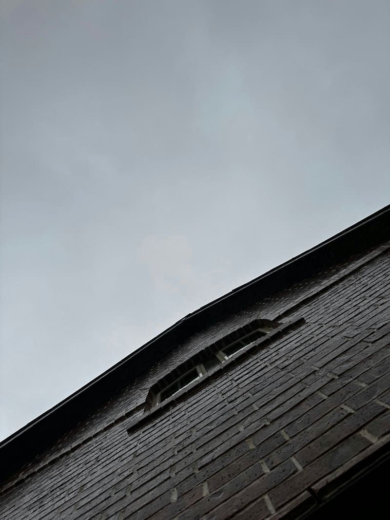 Brick roofline and gutter against an overcast sky