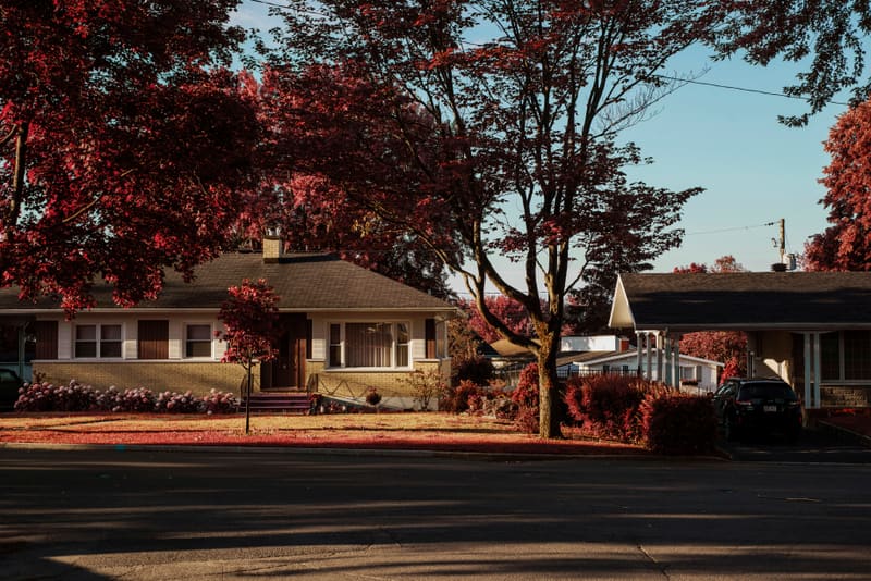 Suburban houses with autumn trees and visible asphalt roofs
